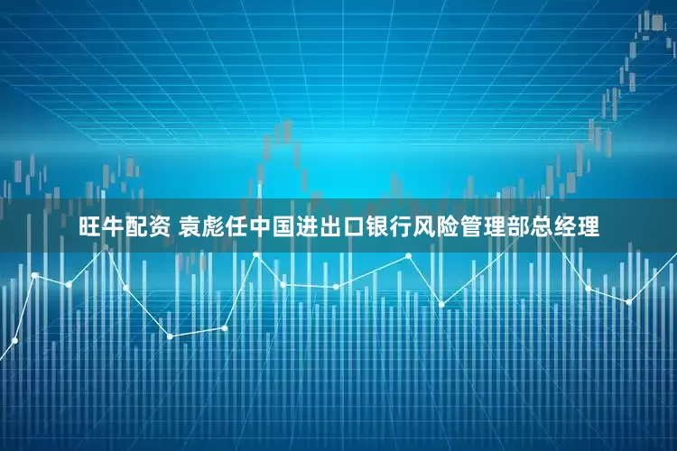 旺牛配资 袁彪任中国进出口银行风险管理部总经理