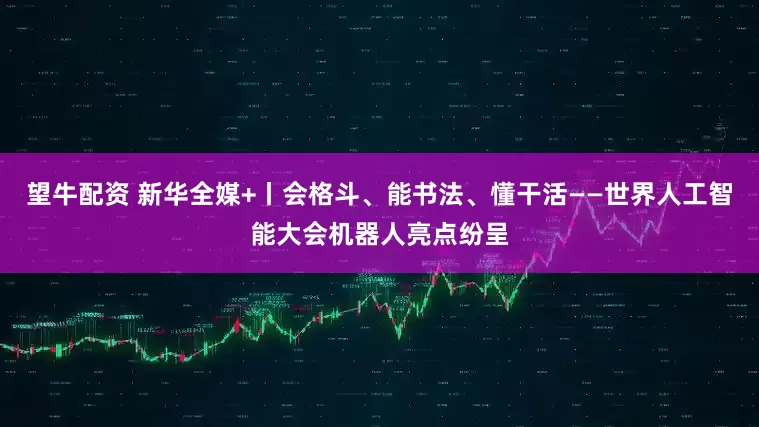望牛配资 新华全媒+丨会格斗、能书法、懂干活——世界人工智能大会机器人亮点纷呈