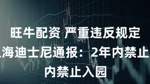 旺牛配资 严重违反规定！上海迪士尼通报：2年内禁止入园